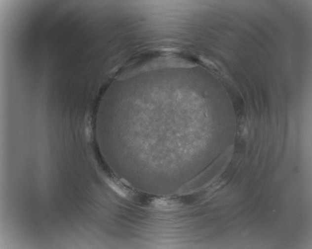 X0000069810568200605221207