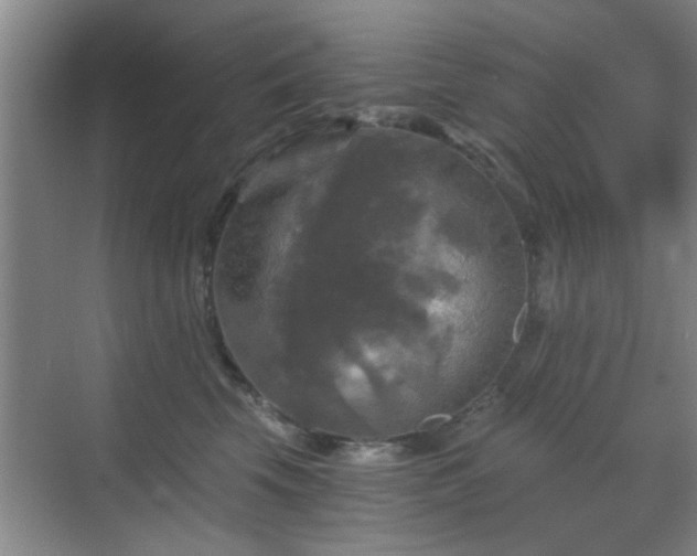 X0000069810569200605221207