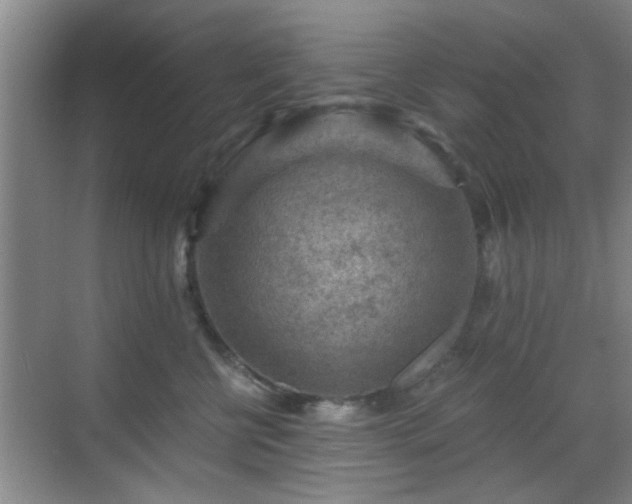 X0000069810570200605221207