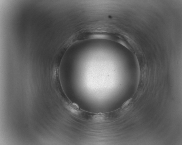 X0000069810574200605221207