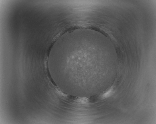 X0000069810576200605221207