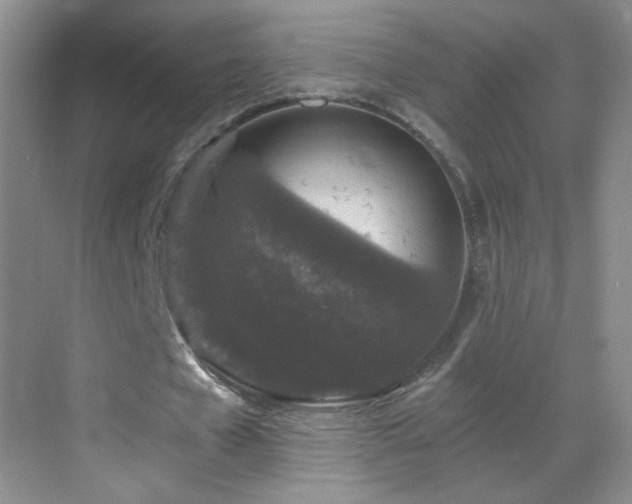 X0000069810577200605221206