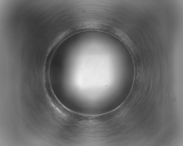 X0000069810578200605221206