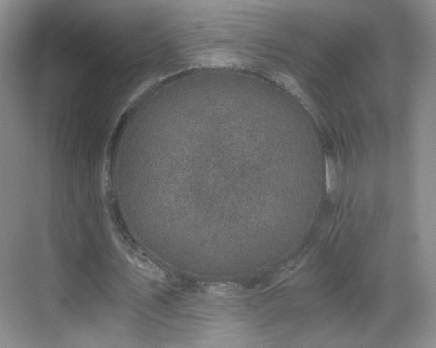 X0000069810579200605221206