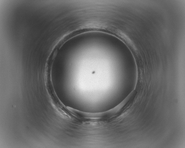 X0000069810580200605221206