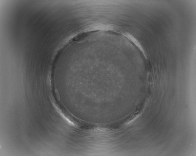 X0000069810581200605221206