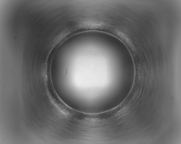 X0000069810582200605221206