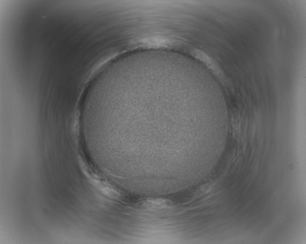 X0000069810583200605221206