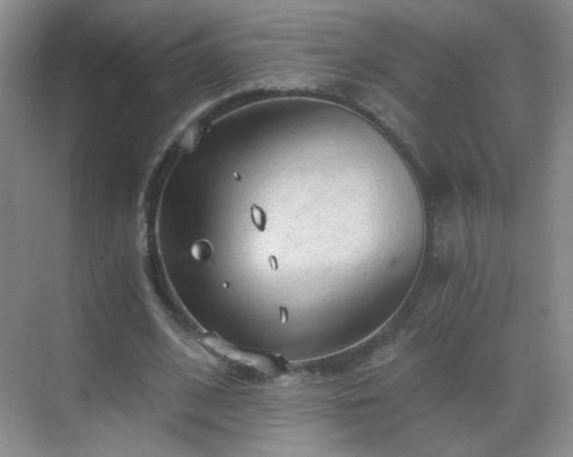 X0000069810584200605221206