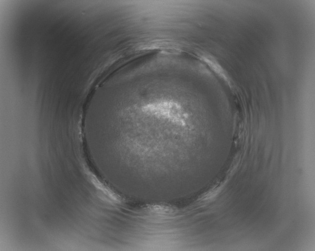 X0000069810585200605221206