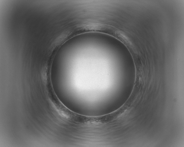 X0000069810586200605221206