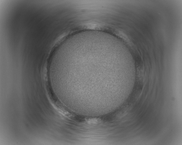 X0000069810587200605221206