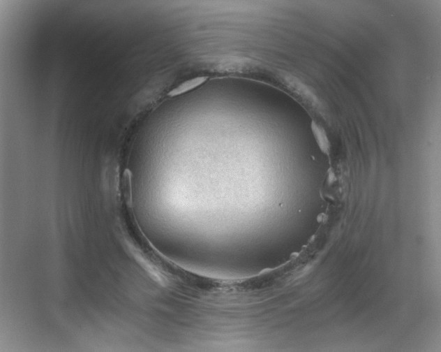 X0000069810589200605221206