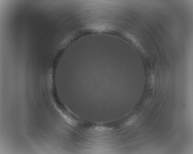 X0000069810590200605221206