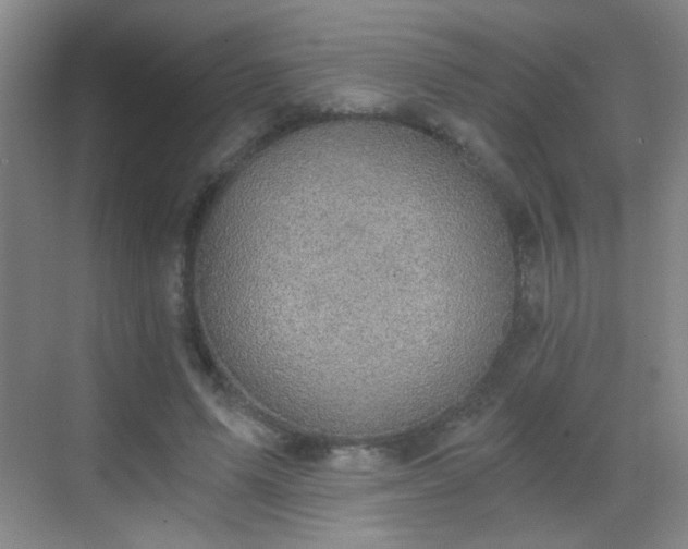 X0000069810591200605221206