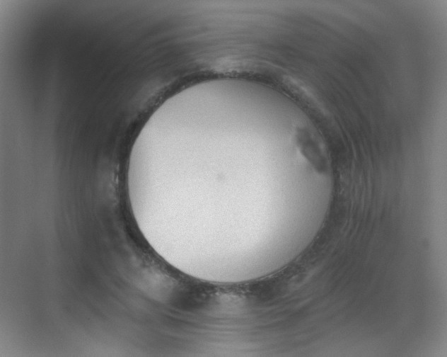 X0000069810592200605221206