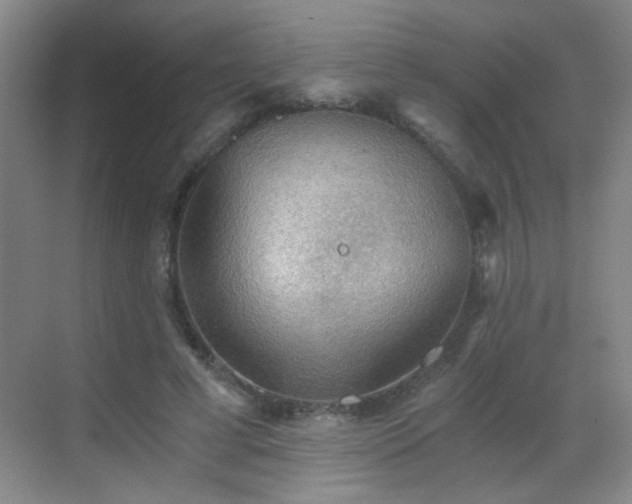 X0000069810593200605221206