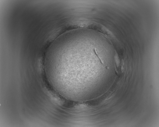 X0000069810594200605221206