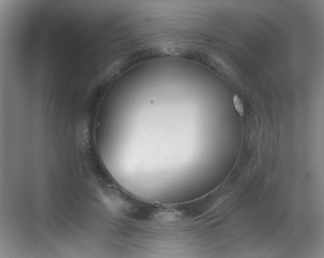 X0000069810595200605221206