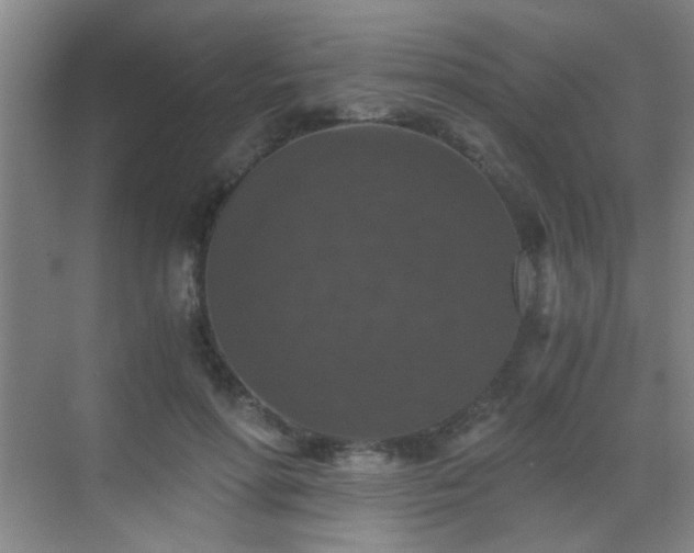 X0000069810598200605221206