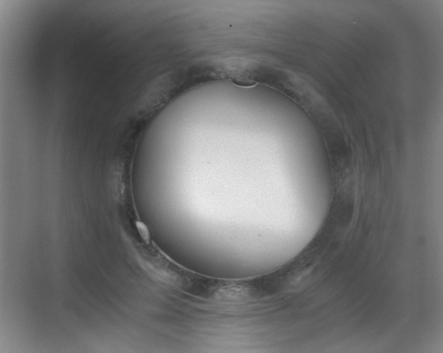 X0000069810599200605221206