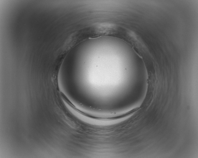 X0000069810601200605221206