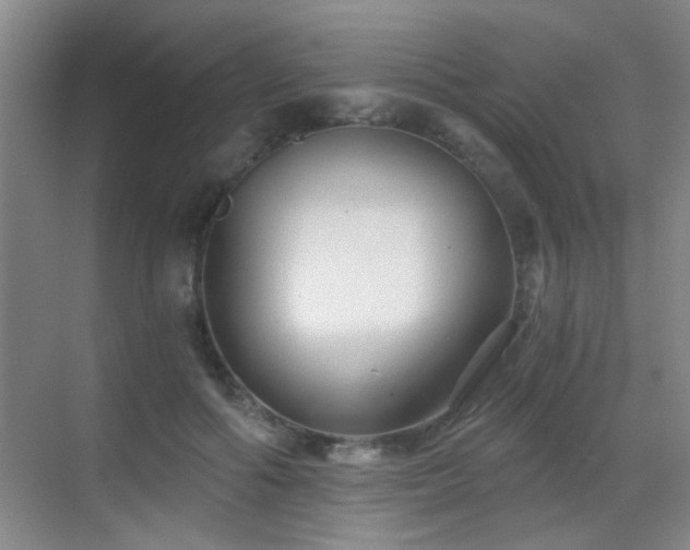 X0000069810602200605221206