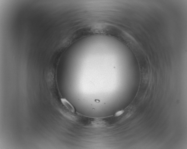 X0000069810603200605221206