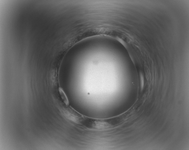 X0000069810605200605221206