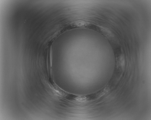 X0000069810606200605221206