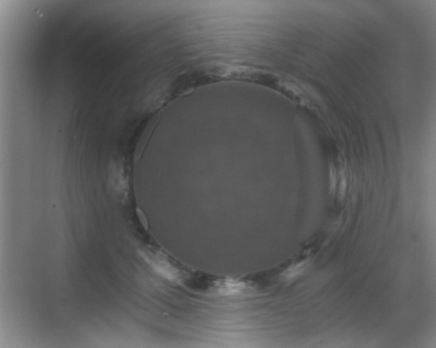 X0000069810607200605221206