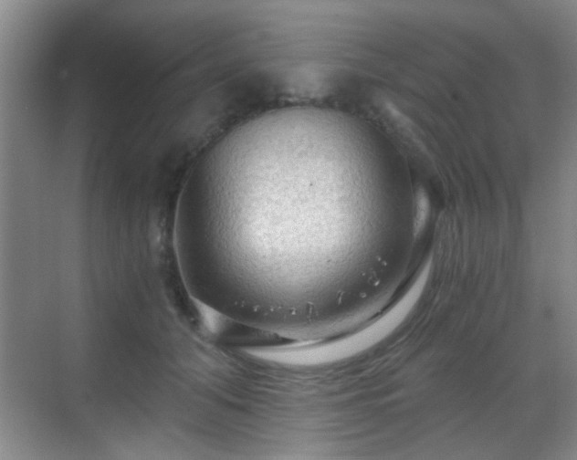 X0000069810608200605221206