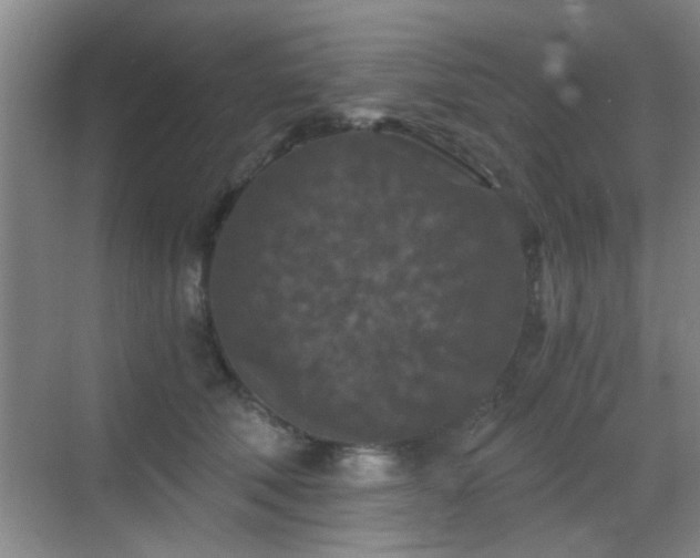 X0000069810610200605221206