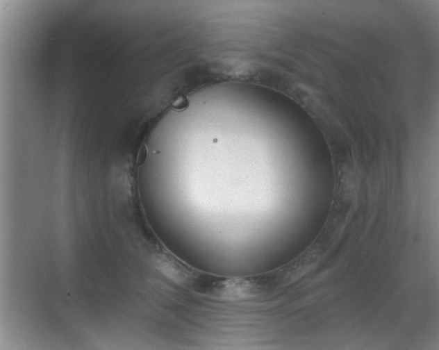 X0000069810612200605221206