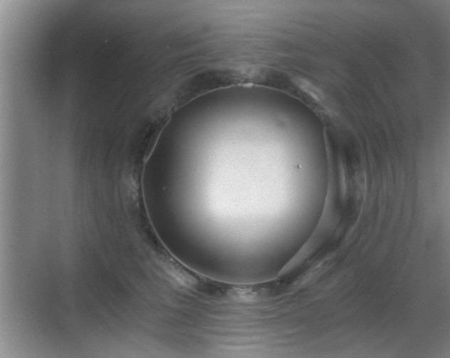 X0000069810613200605221206