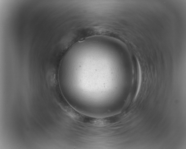 X0000069810615200605221206