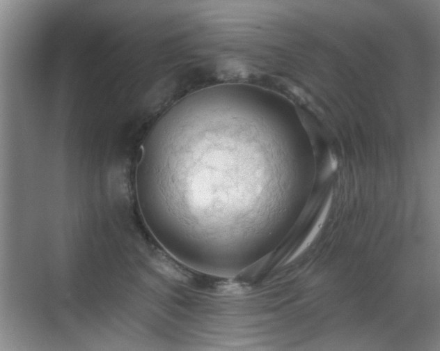 X0000069810616200605221206