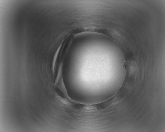 X0000069810619200605221206