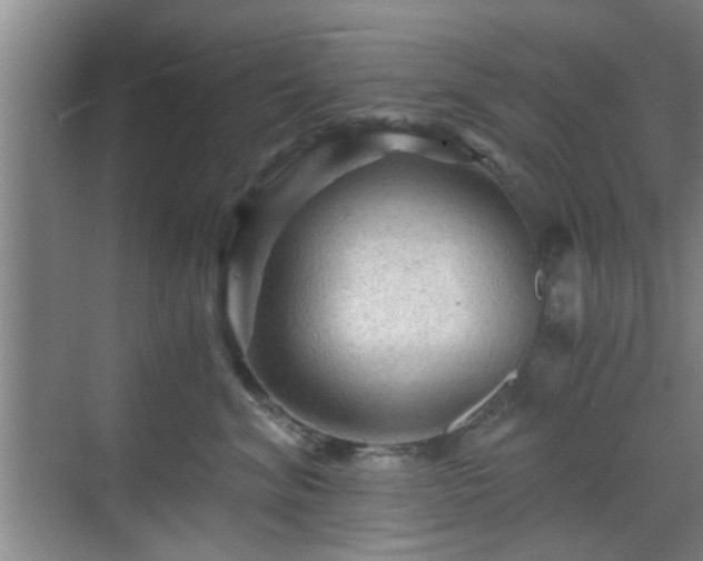 X0000069810620200605221206