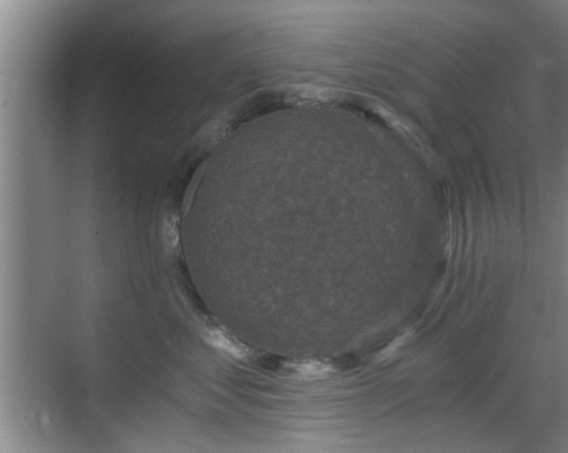 X0000069810621200605221206