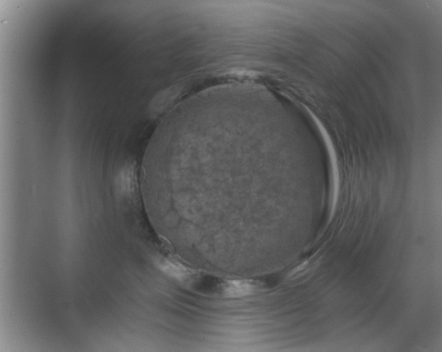 X0000069810623200605221206