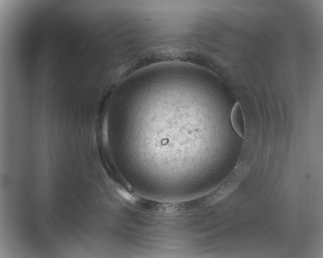 X0000069810624200605221206