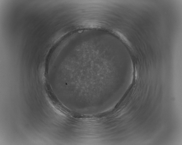 X0000069810627200605221205