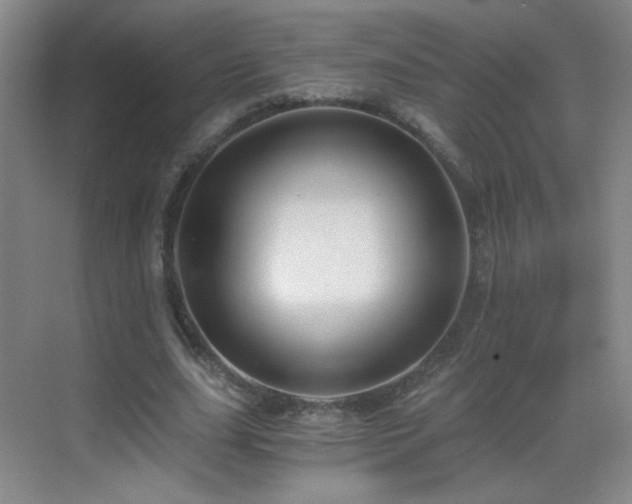 X0000069810631200605221205