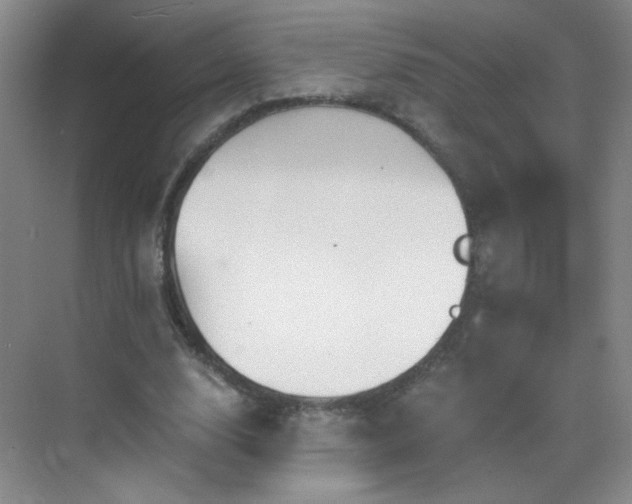 X0000069810632200605221205