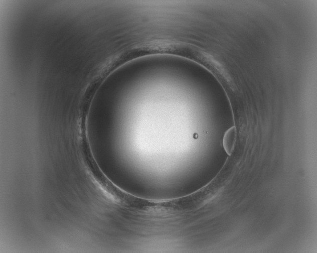 X0000069810633200605221205