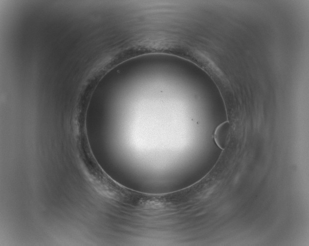 X0000069810635200605221205