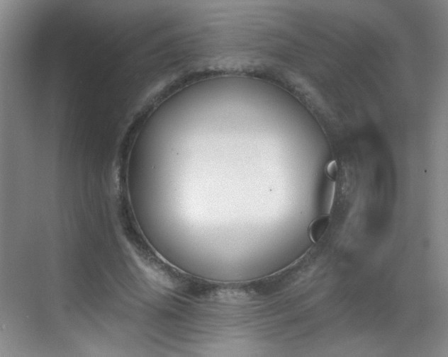 X0000069810636200605221205