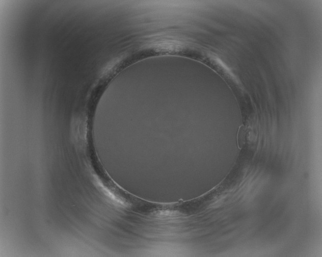 X0000069810637200605221205