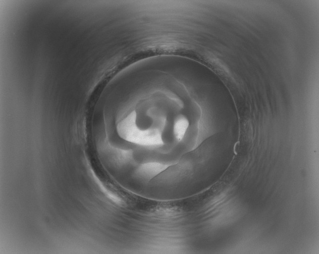 X0000069810638200605221205